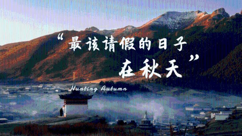 我的戏精三国杀