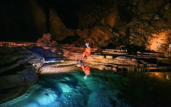 动物帮帮忙保卫家园