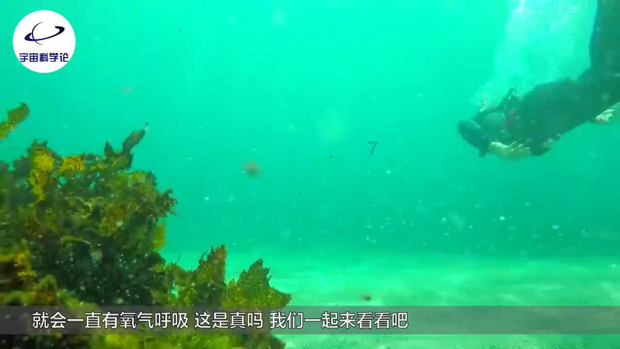 负离子电吹风真的有用吗?揭露四大缺陷弊端!