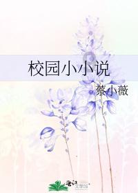 探探猫宝石岛3