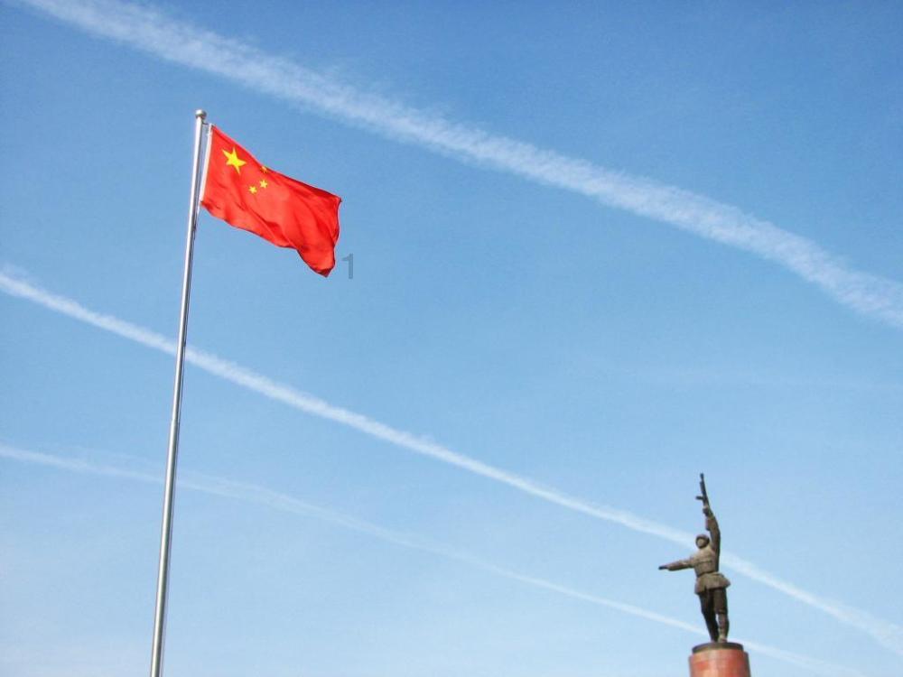 逃出茂密的丛林